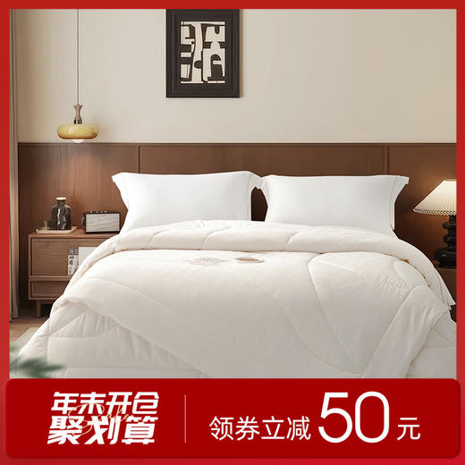 多喜爱 臻享羊绒大豆双蛋白子母被【升级拉链款】【提花磨绒面料】【A类标准】【织带工艺】 【绣花&烫钻】双蛋白呵护 加厚加重 分区绗缝不跑被 商品图0