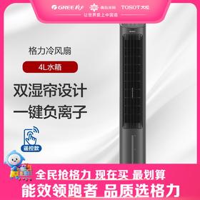 格力·冷风扇 电风扇 KS-04X60Dg 黑色
