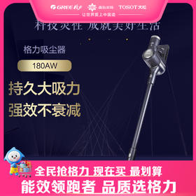 【预售】格力·手持推杆式吸尘器  VCBG05T-B01A 黛山紫