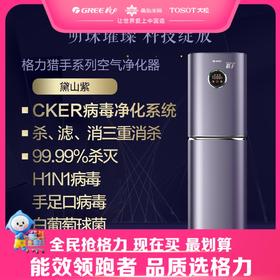 格力·猎手系列 空气净化器  KXJFA300-A02 黛山紫 参考适用面积21-36㎡