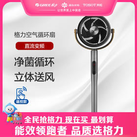 格力·空气循环扇 遥控式 电风扇 FXDZ-2305Bag5 太空灰
