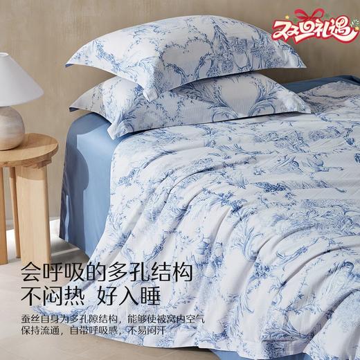水星家纺 A类抑菌亲肤水洗蚕丝夏被 南法·蓝调庄园床上用品 商品图0