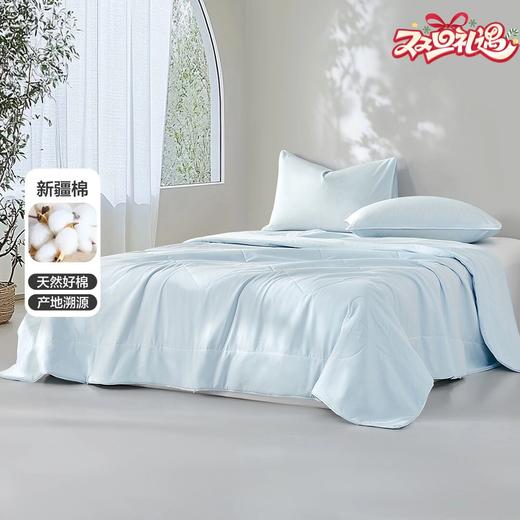 水星家纺 全棉柔软舒适亲肤被子 A类抑菌云棉水洗棉花夏被 商品图0