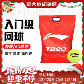 李宁网球高回弹力成人练习训练球耐磨比赛用球网球TB20网球 TB07