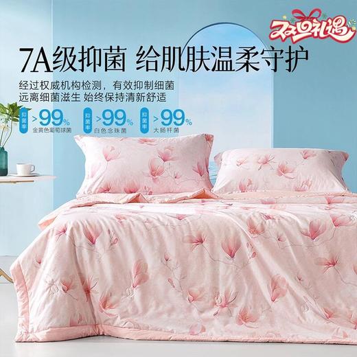 水星家纺旗下百丽丝家纺 抗菌A类可水洗大豆夏被 清新花色被 静桂春山/轻栀夏花 商品图0