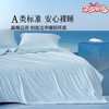 水星家纺 百丽丝家纺 A类柔软顺滑清净眠除臭双感夏被 商品缩略图0