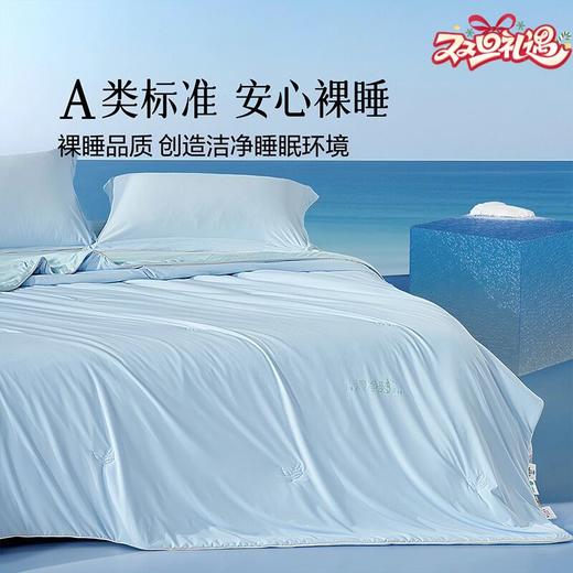 水星家纺 百丽丝家纺 A类柔软顺滑清净眠除臭双感夏被 商品图0