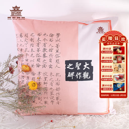 【售完无补】西安碑林博物馆【大观圣作碑抱枕套靠垫家用客厅靠背靠枕】文创用品 商品图0