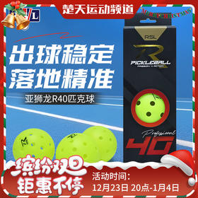 亚狮龙RSL匹克球R40三个装落地精准