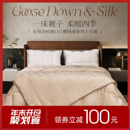 多喜爱 金羽朵95进口白鹅绒桑蚕丝子母被 栖金枕月【鹅绒母被+蚕丝子被】【95%绒子含量】【100%双宫茧桑蚕丝】【1000+清洁度】【波兰进口】3D航空舱  20CM开口 商品图0