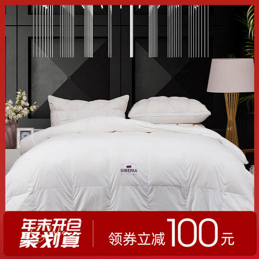 多喜爱 加倍保暖鹅享加厚冬被 商品图0