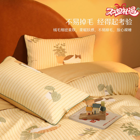 水星家纺 磨毛四件套加厚保暖床上用品秋冬天床单被套