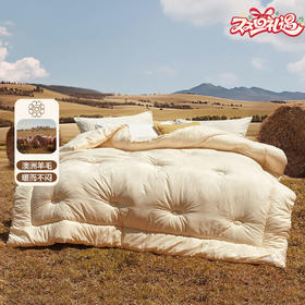 水星家纺 阳光卷毛澳洲进口羊毛加厚冬被春秋被保暖抗菌被芯被子