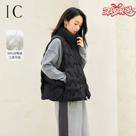 IC 立领设计宽松羽绒马甲女新款秋冬高级感气质通勤休闲上衣