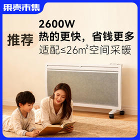 超值|2600W大功率大客厅适用【欧洲原版】意大利radialight 全屋取暖器电暖器 NDLX  wifi款  大功率2200W/2600W