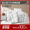 多喜爱 金羽朵95进口白鹅绒冬被-羽白/云紫/雪金【95%绒子含量】【分区保暖工艺】【皮箱包装】【1000+清洁度】【波兰进口】【柔暖缎面料】【A类品质】匠人手挑白绒 黄金取绒位 商品缩略图0