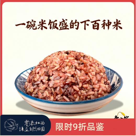【同行精选】百谷老种子糙米5斤，百种原生稻米手工混种，天然无农化，富含膳食纤维与胚芽营养。 商品图0