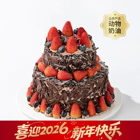 【黑巧爱好者推荐】6+4英寸森林小红帽，双层爆款草莓下午茶，浓郁黑巧搭配多汁草莓和酸甜黑樱桃酱，酸酸甜甜！（今日特惠）