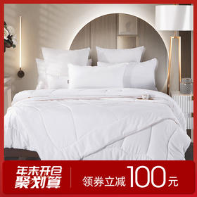 多喜爱 臻品绵羊毛生物绒亲肤加厚冬被/子母被 cs【超细羊毛】【60S全棉提花】【柔软贴身】【温暖舒适】分区保暖 精致烫钻 多种厚度 皮质手提包