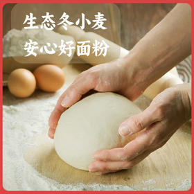 【2025年新粮】谦益香畴低温石磨面粉2.5kg 低温石磨加工 原麦醇香 山西基地麦子 中高筋面粉 适合做包子馒头 饺子