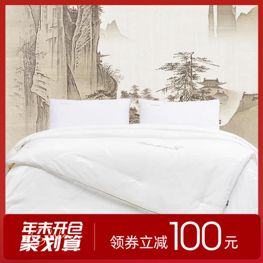 多喜爱 传奇丝毓纯蚕丝子母被（流光）cs 商品图0