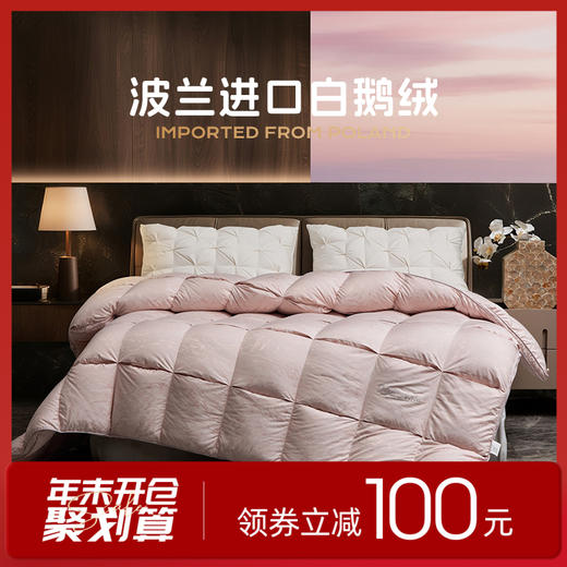 多喜爱 金羽朵95进口白鹅绒冬被-琥珀梦境./鎏光暖域hl【95%绒子含量】【1000+清洁度】【波兰进口】【60S兰精天丝】【贡缎面料】银丝提花工艺 3D航空舱  10CM开口 商品图0