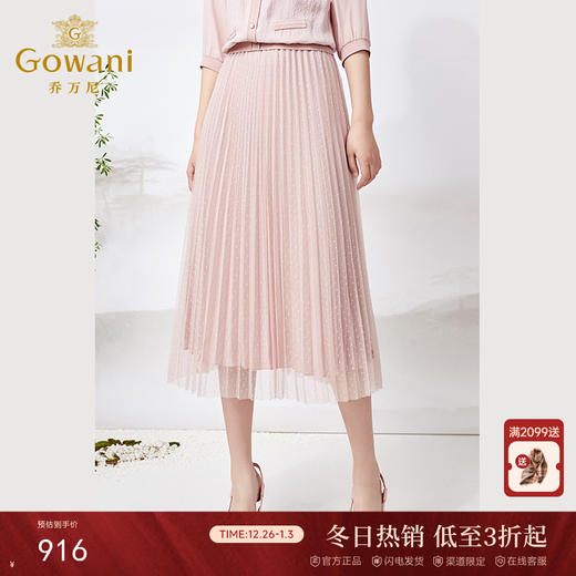 乔万尼半身裙新款春季a字网纱百褶气质高级感半裙ET2D271 商品图0