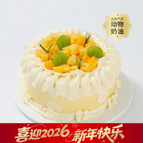 【金玉璀璨】夏日限定款芒果青提下午茶蛋糕，一口温柔，满勺甜蜜（武汉幸福西饼蛋糕）