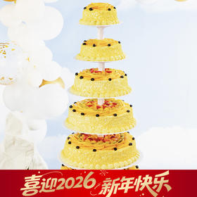 鹏程万里蛋糕（武汉）-30磅1599元