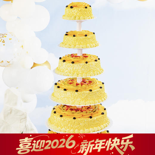 鹏程万里蛋糕（武汉）-30磅1599元 商品图0