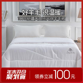 多喜爱 臻奢极暖纯绵羊毛加厚冬被【100%新疆纯绵羊毛】【60S细羊毛】【60S提花面料】【丝光工艺】加厚填充 舒适温暖 细腻亲肤 烫钻工艺 PU皮手提包