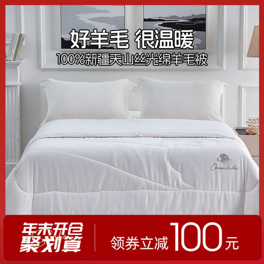 多喜爱 臻奢极暖纯绵羊毛加厚冬被【100%新疆纯绵羊毛】【60S细羊毛】【60S提花面料】【丝光工艺】加厚填充 舒适温暖 细腻亲肤 烫钻工艺 PU皮手提包 商品图0