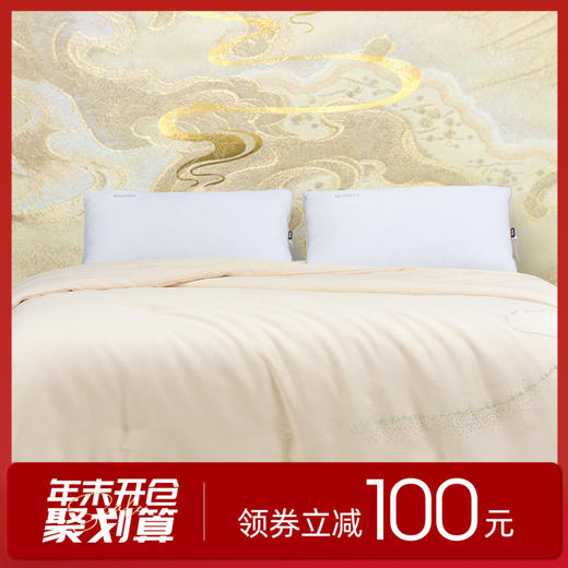 多喜爱 丝蕴华彩黄金纯蚕丝四季被/子母被cs 商品图0