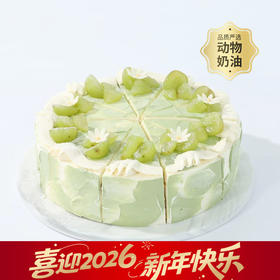 【野餐露营推荐】伯牙绝弦蛋糕，与好友共赴一场茶香四溢的春日之约。一抹青韵茶香满溢，一口伯牙绝弦回味悠长。