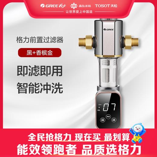 【预售】格力·前置过滤器  WTE-QZBW14S 黑+香槟金 商品图0