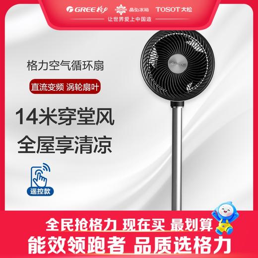 格力·落地循环扇 电风扇 FSZ-20X60Bg3 黑+银 商品图0