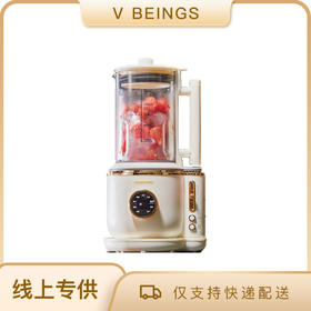 大宇 FPO1破壁机家用隔音罩豆浆机低噪音多功能料理机正品