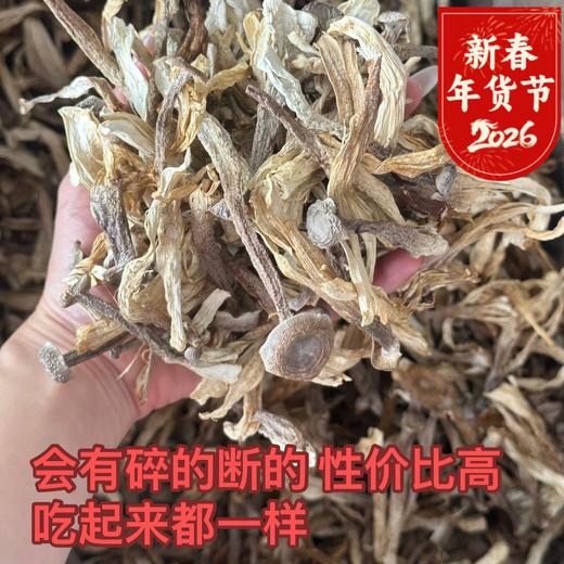 鹿茸菇特价 3袋送2袋 菌菇贵族 原产地道   属于丑菇  特价处理  会有断的碎的 泡发不影响食用 菌菇蘑菇 商品图0