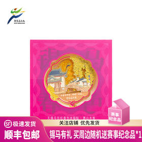 汇跑 2025年无锡马拉松春色冰箱贴