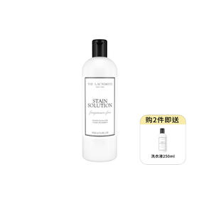 THE LAUNDRESS 衣物去渍清洁液 500g 局部去污污渍洗衣预处理