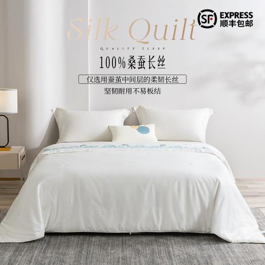 多喜爱 神州丝韵纯桑蚕丝子母被hl（麒麟）【100%桑蚕丝】【中长丝】【60S全棉贡缎】70cm检测口  品质包装 商品图0