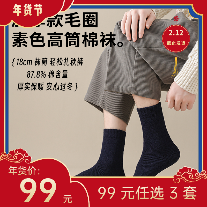 【年货节99元任选3件】冬款 · 加厚素色毛圈袜（3双）