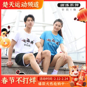 VICTOR威克多羽毛球服男女中性针织圆领运动T恤短袖上衣T-50029训练短袖