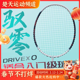 VICTOR威克多羽毛球拍男女生初学入门全碳素训练拍驭零DX-O