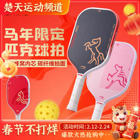 李宁匹克球拍ACPW005玻璃纤维专业比赛训练壁球拍马年限定匹克球拍