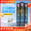 亚狮龙RSL6号球羽毛球NO.6 PLUS飞行稳定耐打训练鸭毛球 商品缩略图0