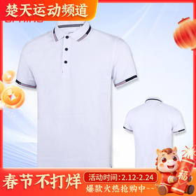 李宁羽毛球服APLS143速干短袖上衣运动T恤 训练比赛运动服 吸汗透气学生健身服 短袖