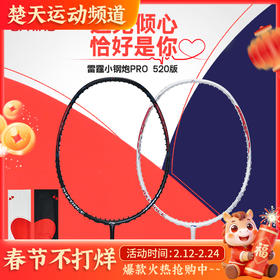 李宁羽毛球拍雷霆小钢炮PRO 520系列全碳素羽毛球拍