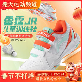 李宁大童鞋无痕羽毛球鞋雷霆JR防滑耐磨AYTV012训练鞋