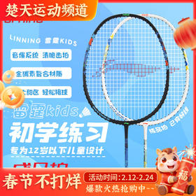 已穿线成品拍 李宁羽毛球拍入门训练儿童雷霆KIDS成品拍羽毛球拍